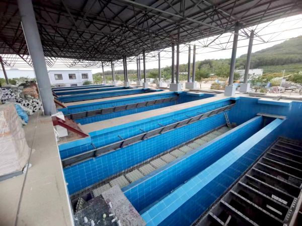 海南三亚10万方新城水质净化厂项目